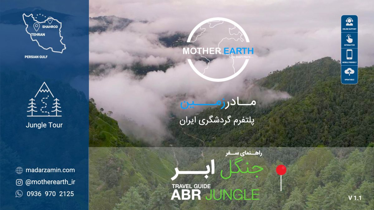 راهنمای جامع جنگل ابر