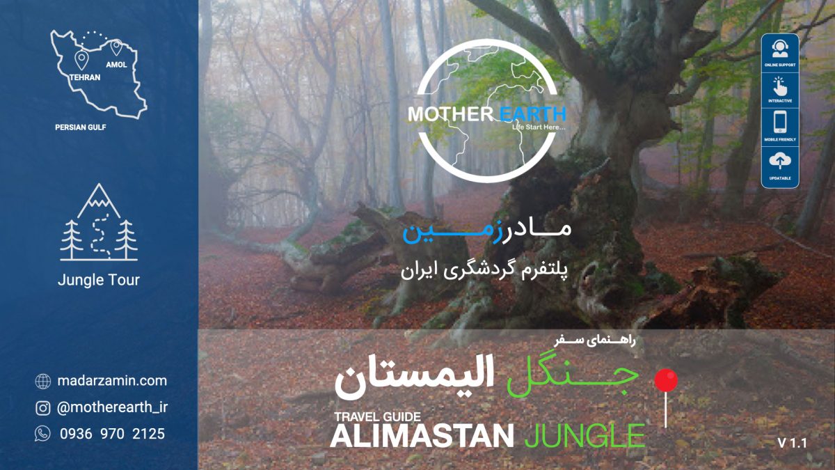راهنمای جامع جنگل الیمستان
