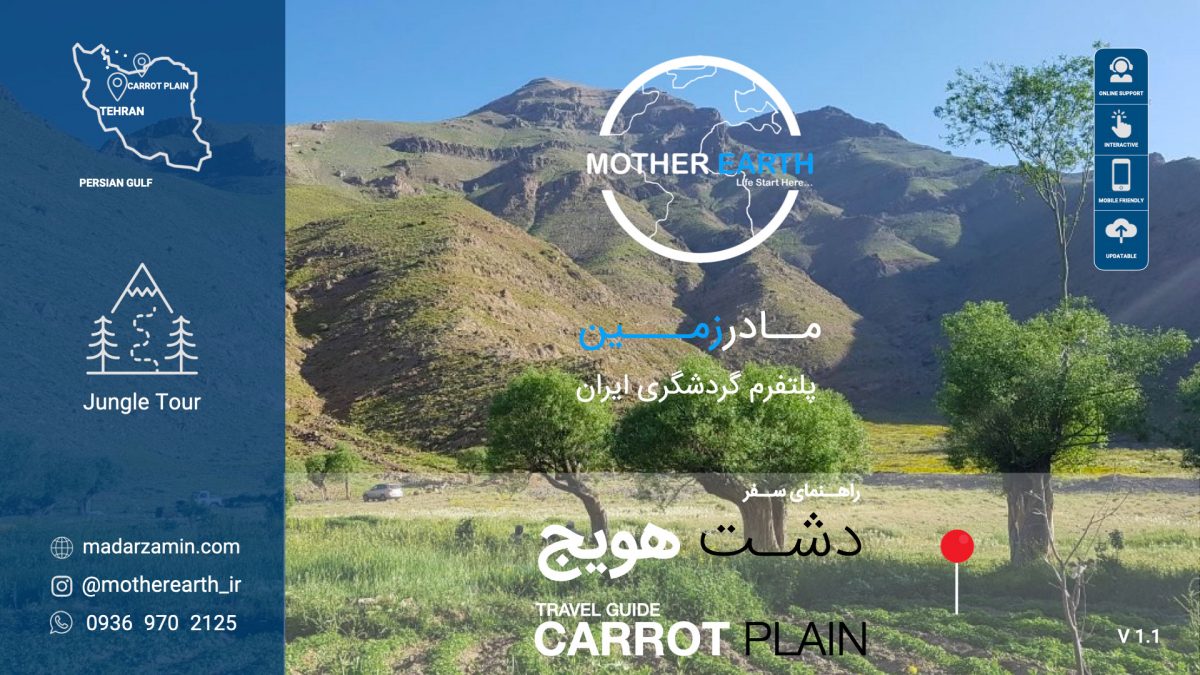 راهنمای جامع دشت هویج